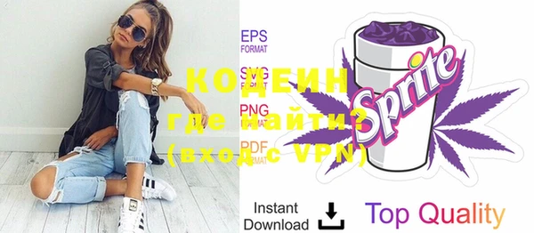 индика Бородино