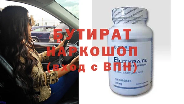 индика Бородино