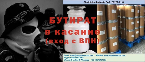 индика Бородино
