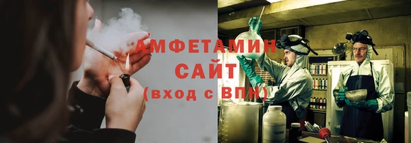 индика Бородино