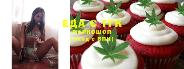 индика Бородино