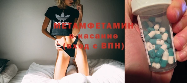 индика Бородино