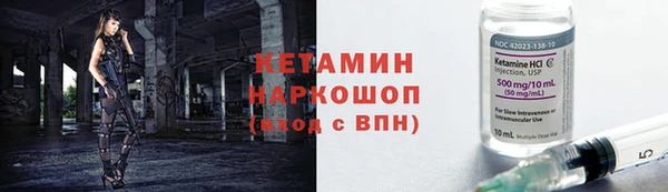 индика Бородино