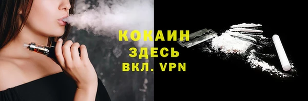 индика Бородино