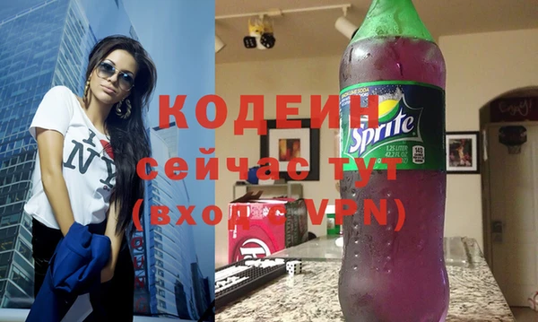 индика Бородино