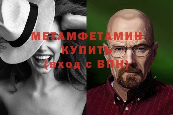 индика Бородино