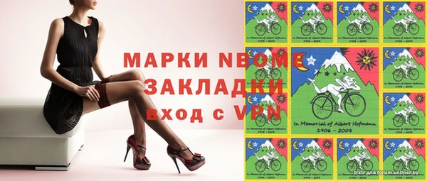 индика Бородино