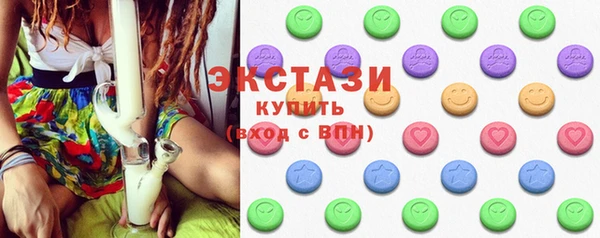 индика Бородино