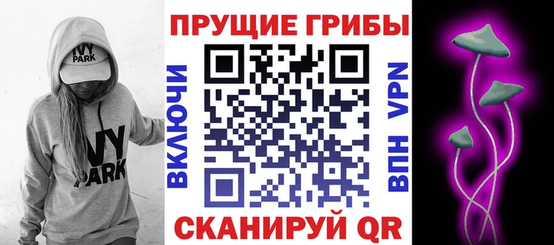 OMG ссылки  Гудермес  Галлюциногенные грибы Magic Shrooms  дарнет шоп 
