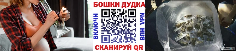 Бошки Шишки семена Гудермес